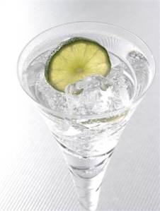 A refreshing Gin and Tonic - perfect anytime